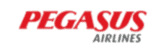 Pegasus