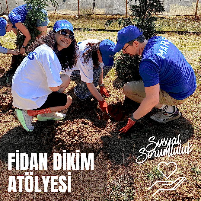 Fidan Dikimi Atölyesi