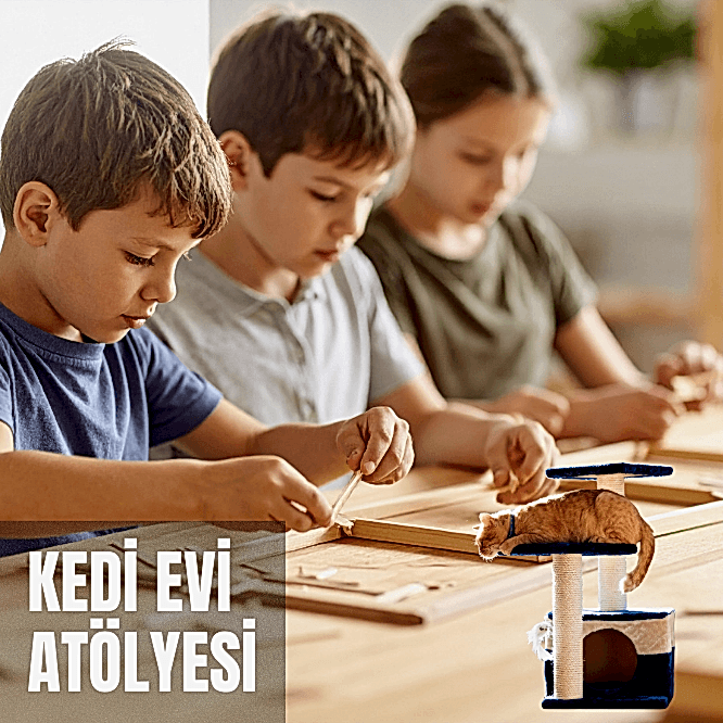 Kedi Evi Atölyesi