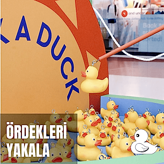 Ördekleri Yakala 