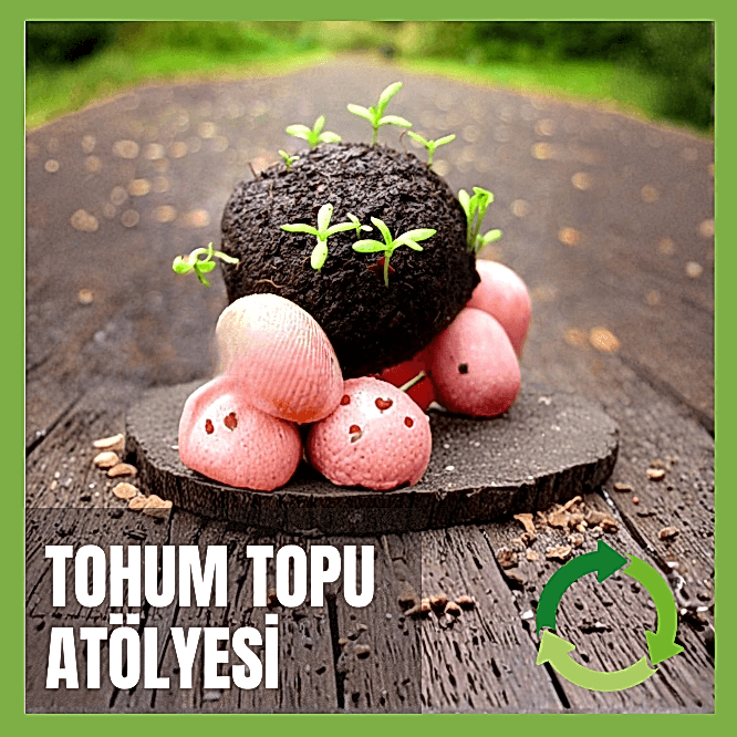 Tohum Topu Atölyesi